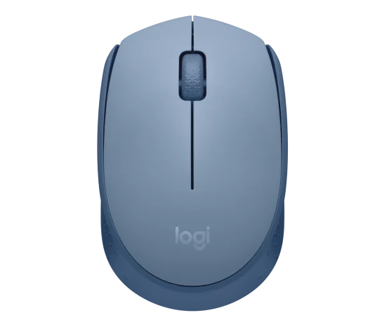 Logitech M171 Wireless Mouse in blue and grey with ergonomic design and optical tracking